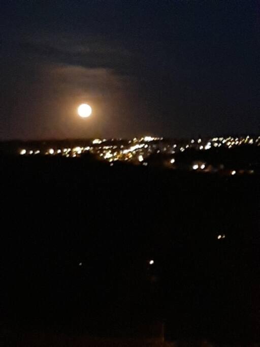 Le Calme De La Prairie De Liege Lägenhet Exteriör bild